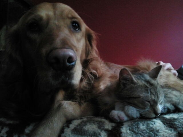 Moj nowy "brat":)