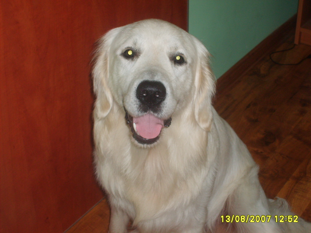 ARNI