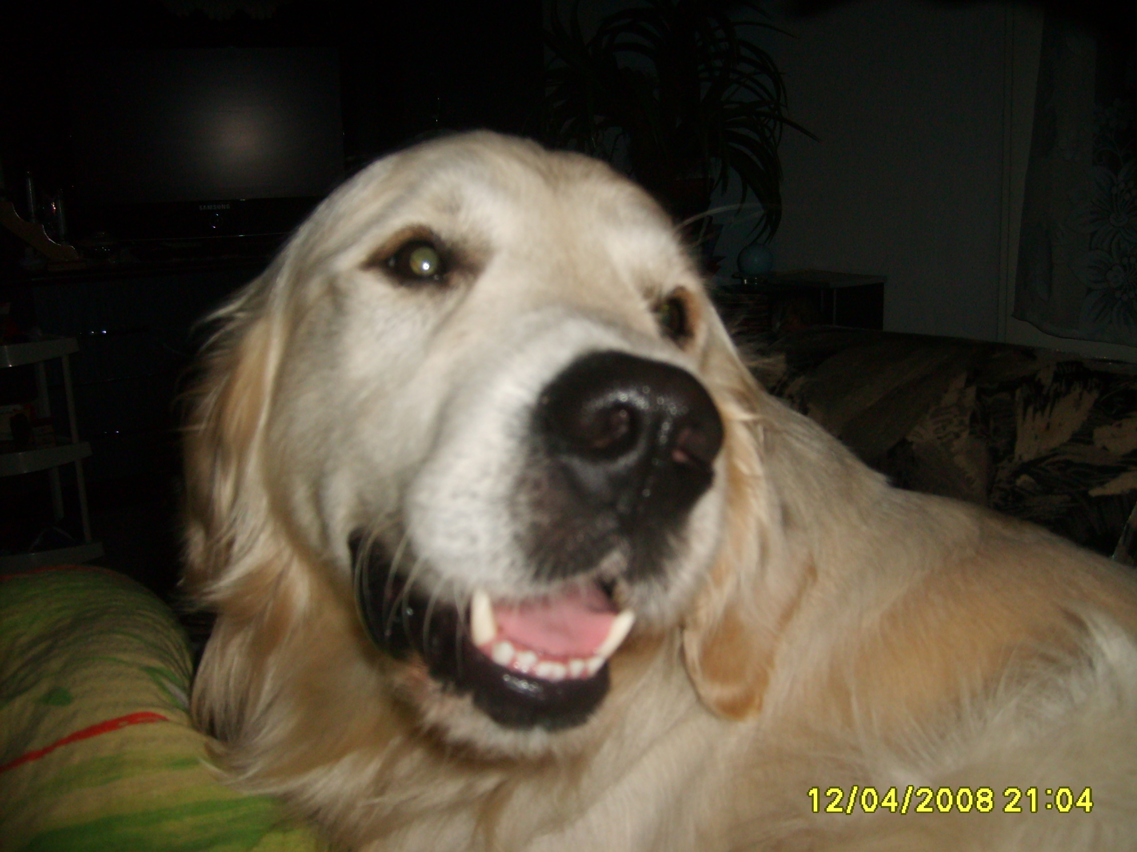 ARNI