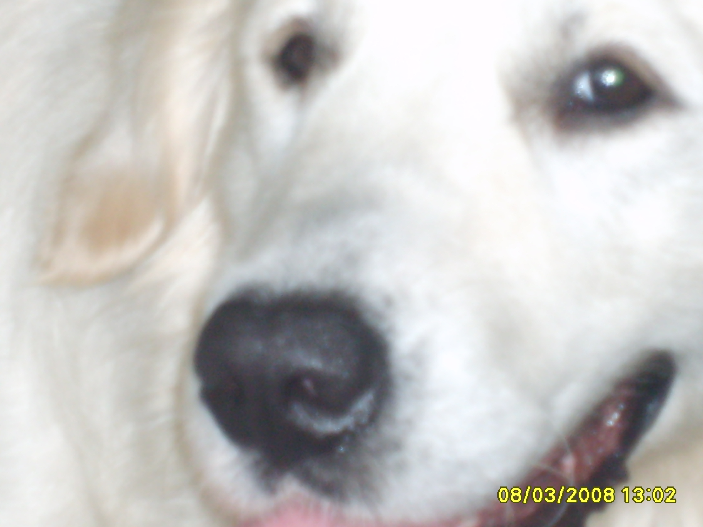 ARNI
