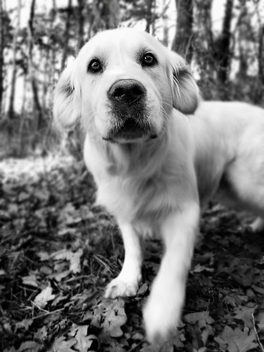 :*