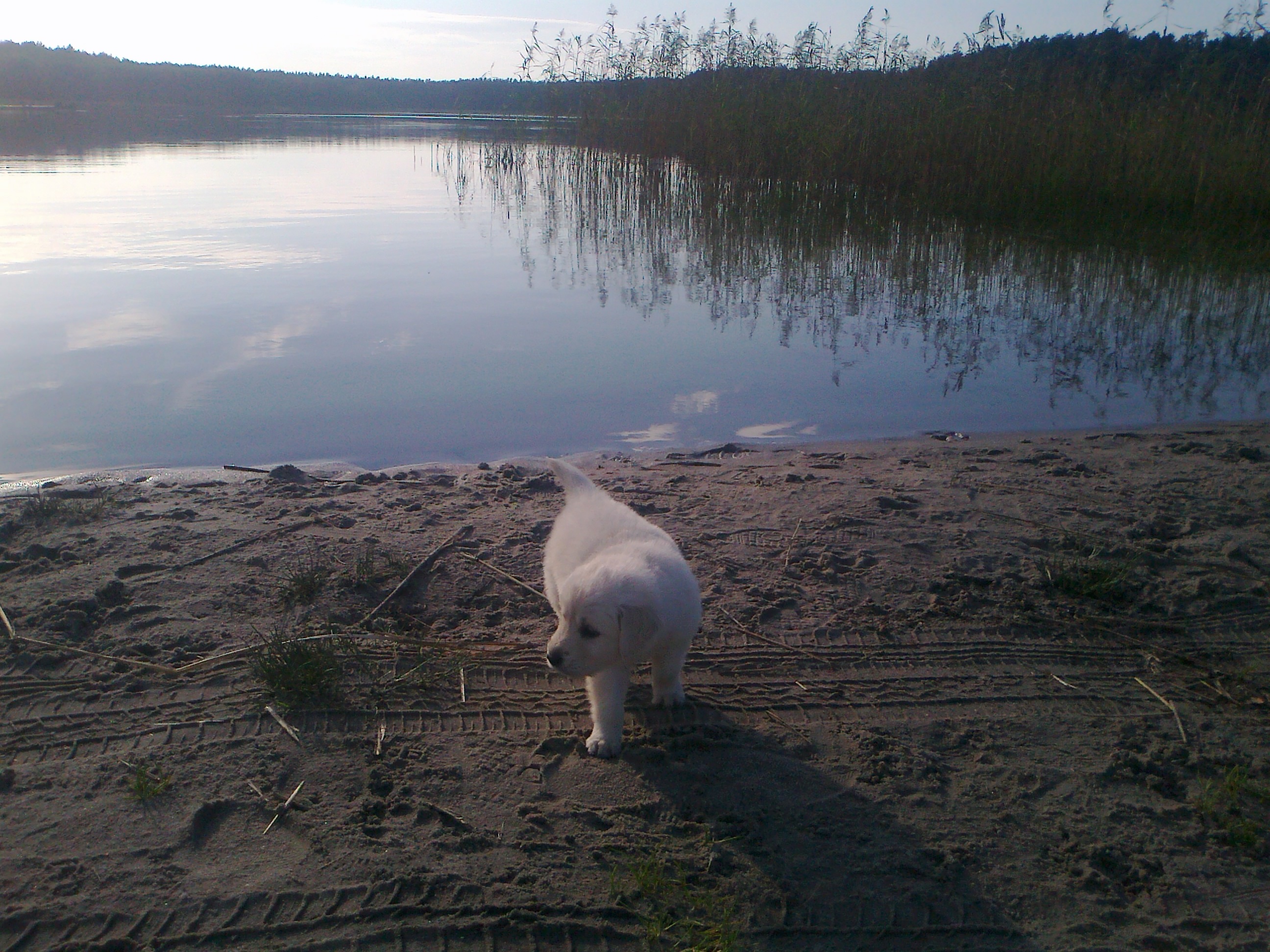 Pierwsza wycieczla