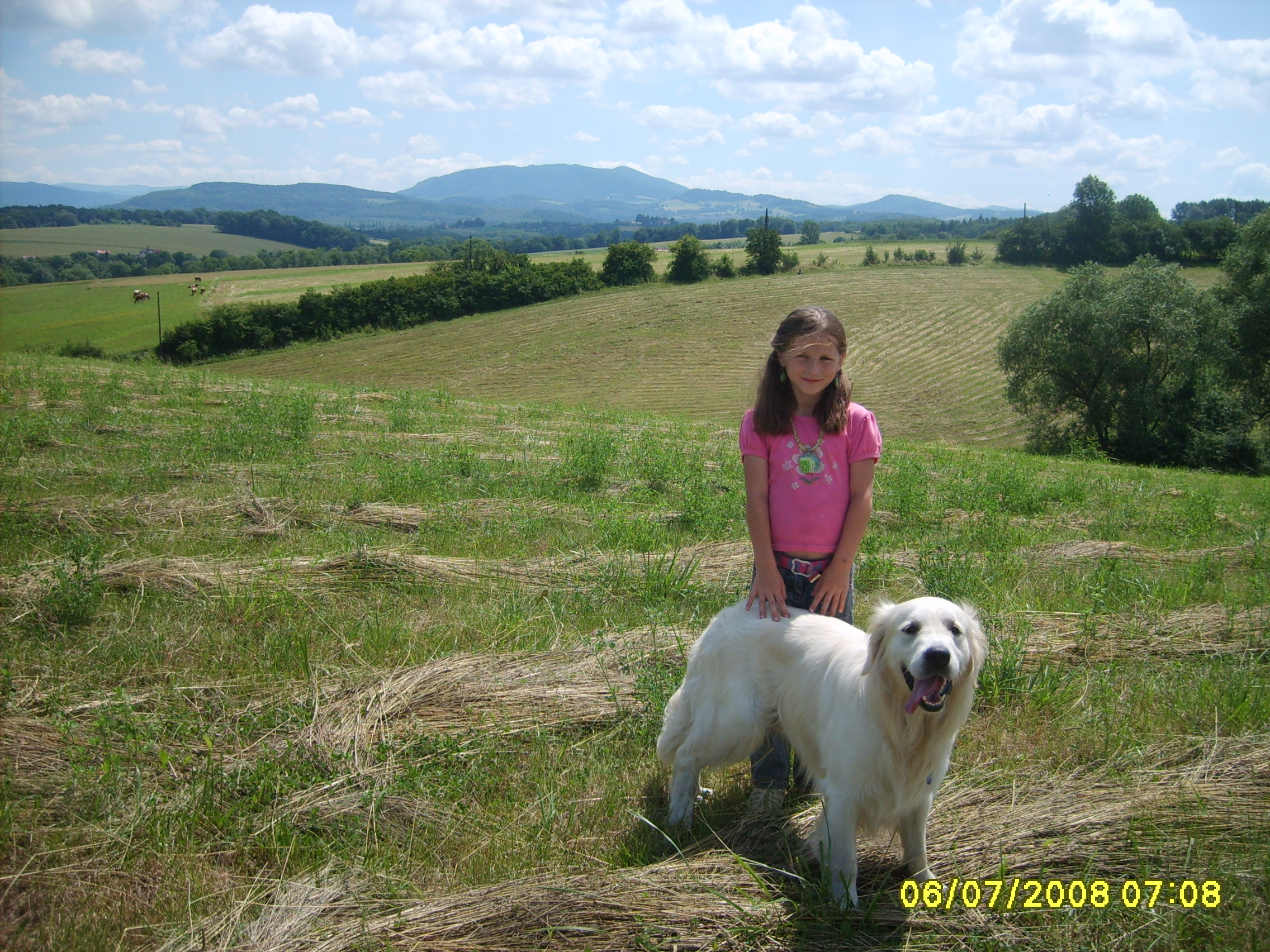ARNI