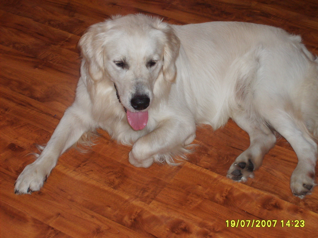 ARNI