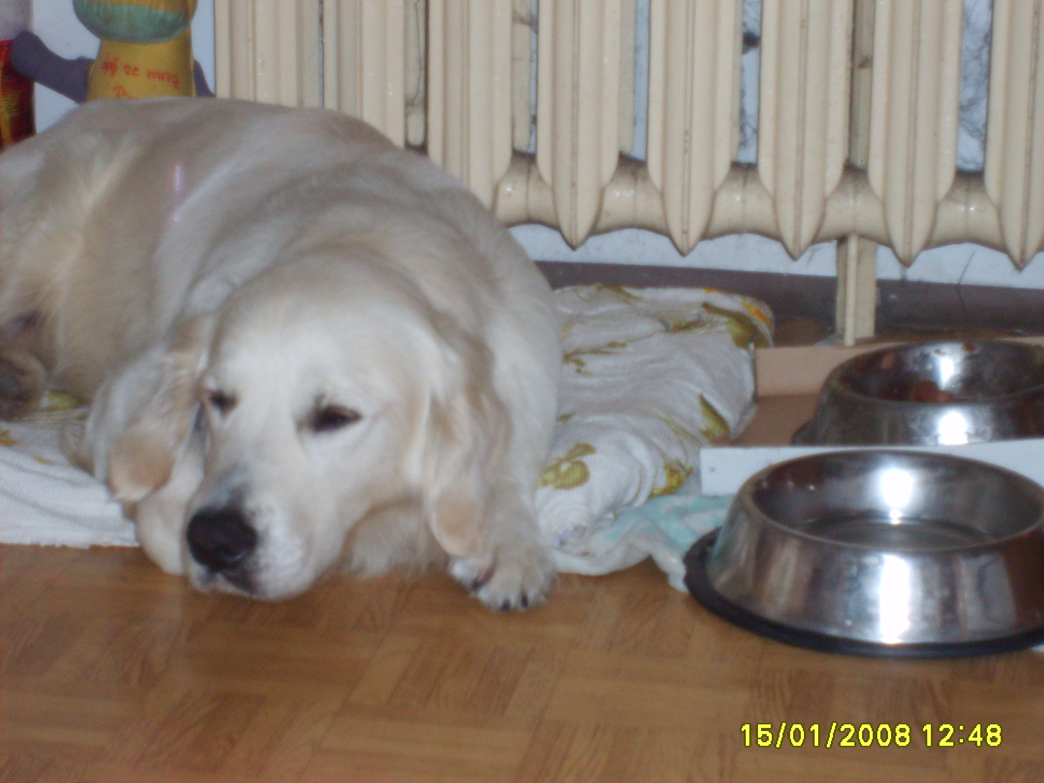 ARNI