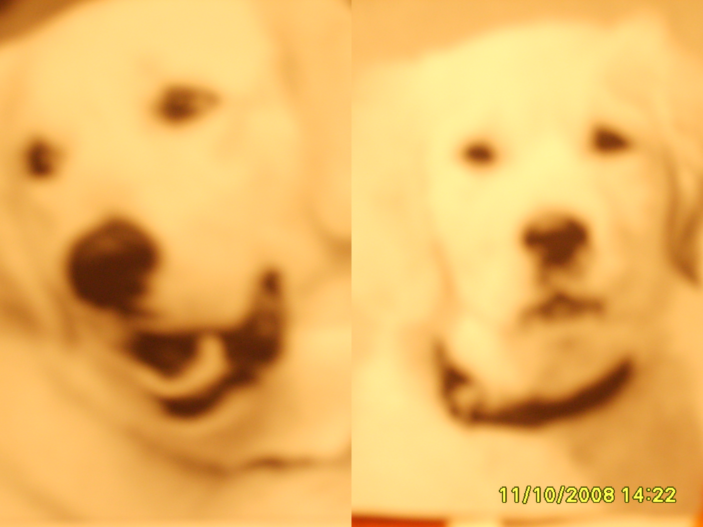 ARNI