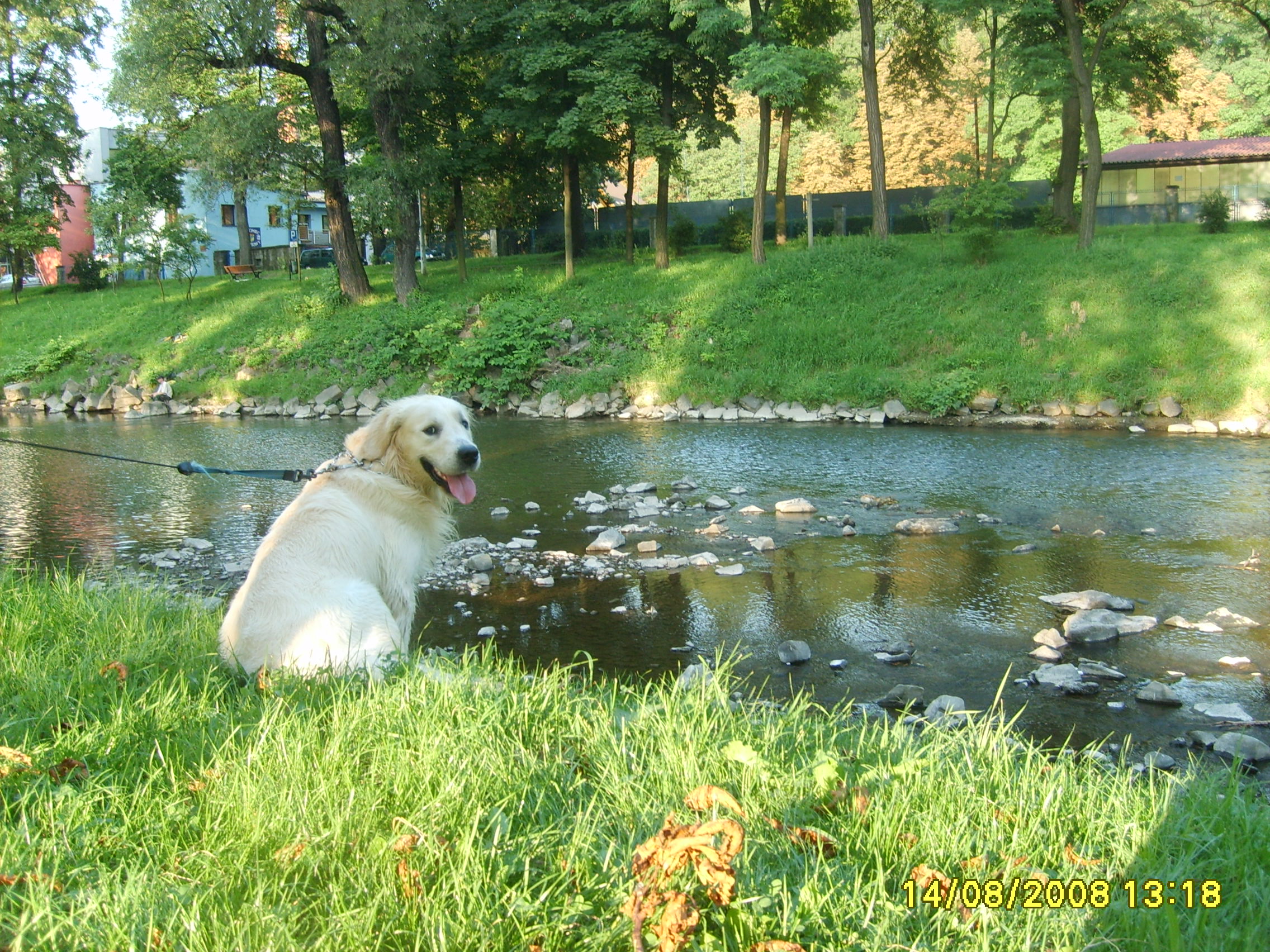 ARNI