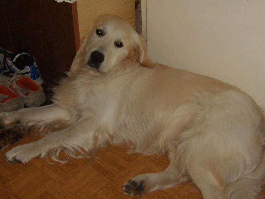 ARNI