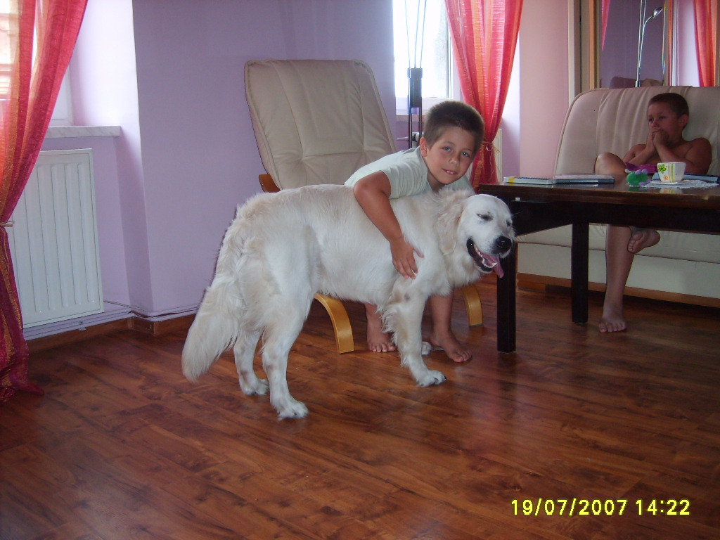 ARNI