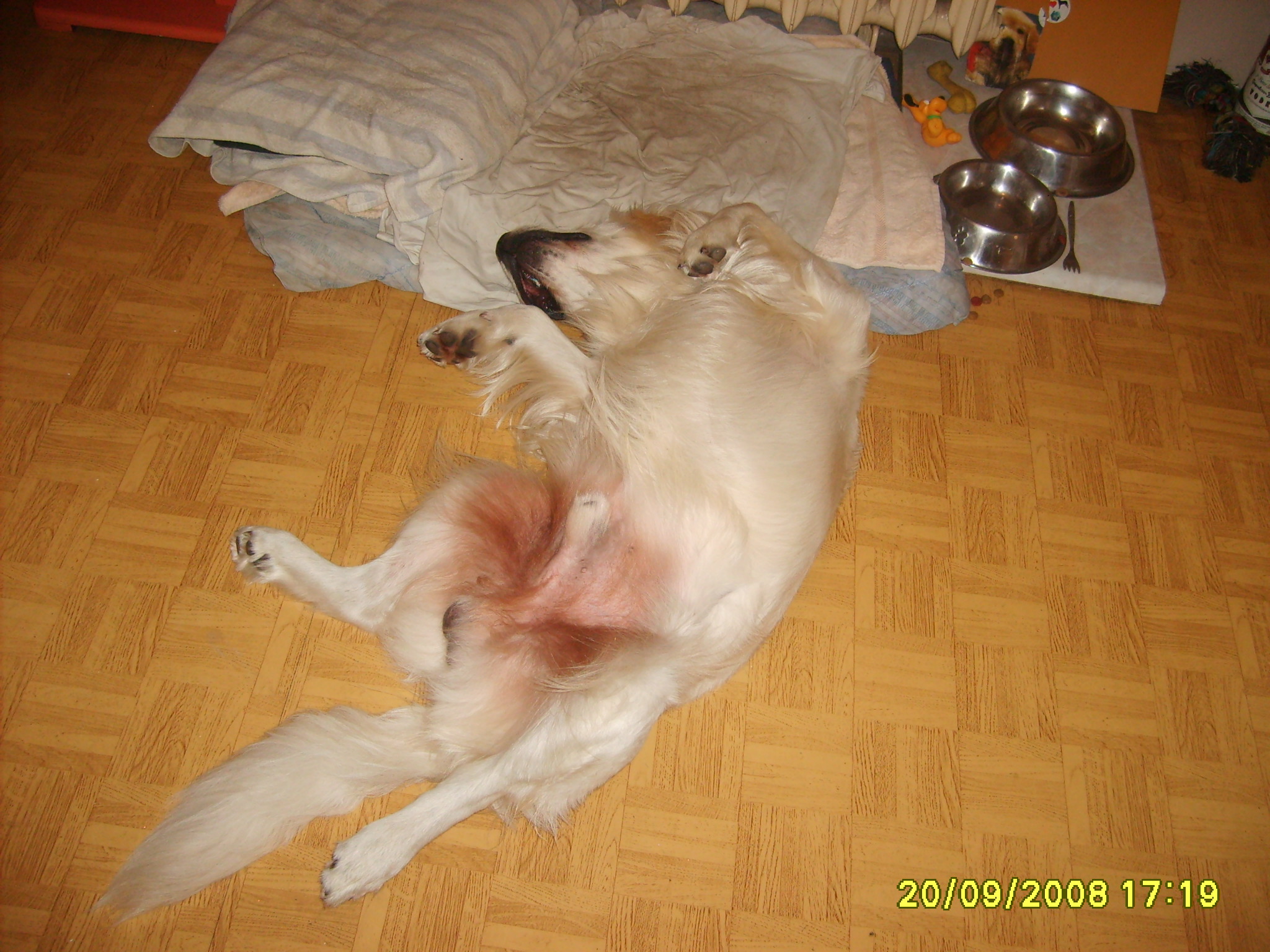 ARNI