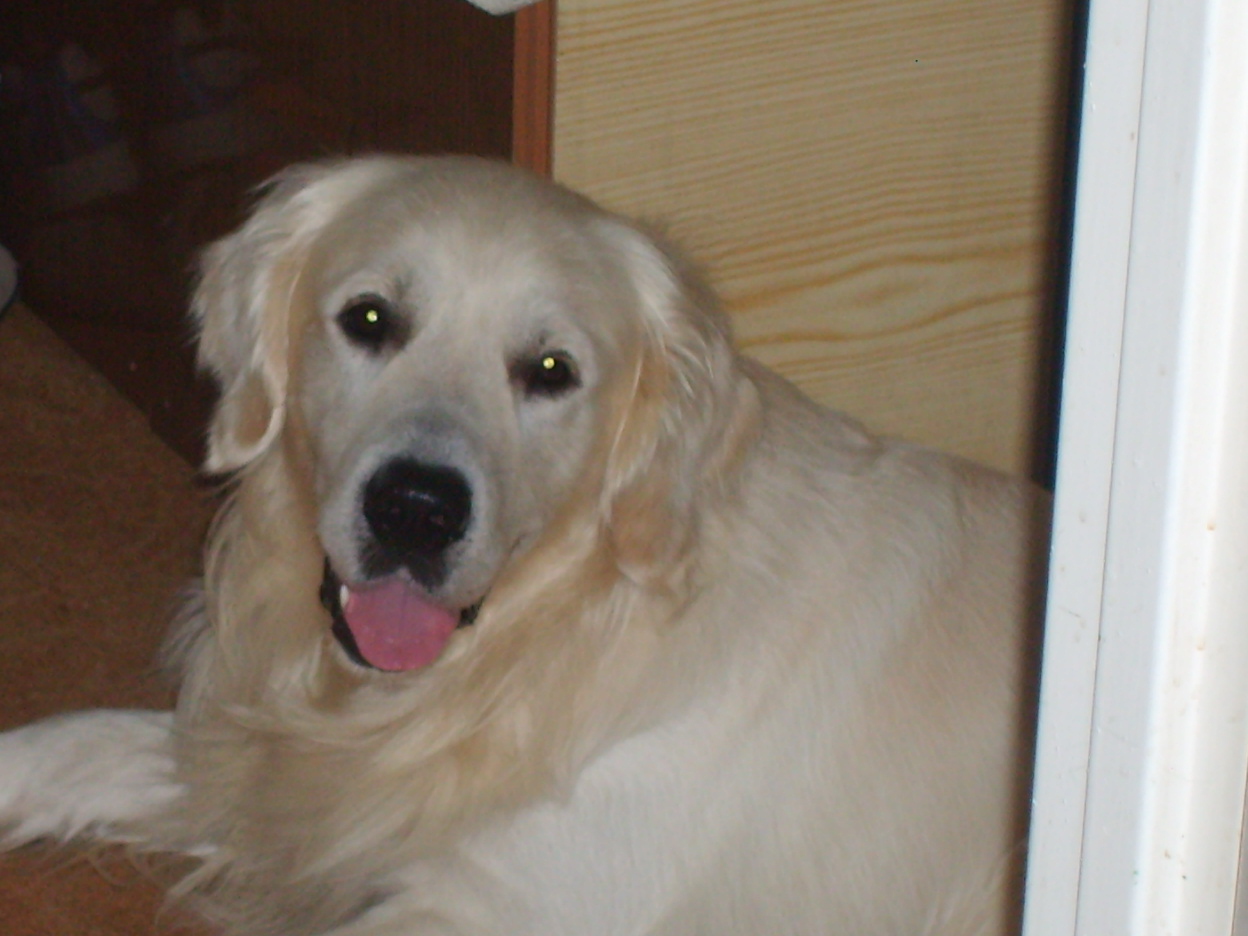 ARNI