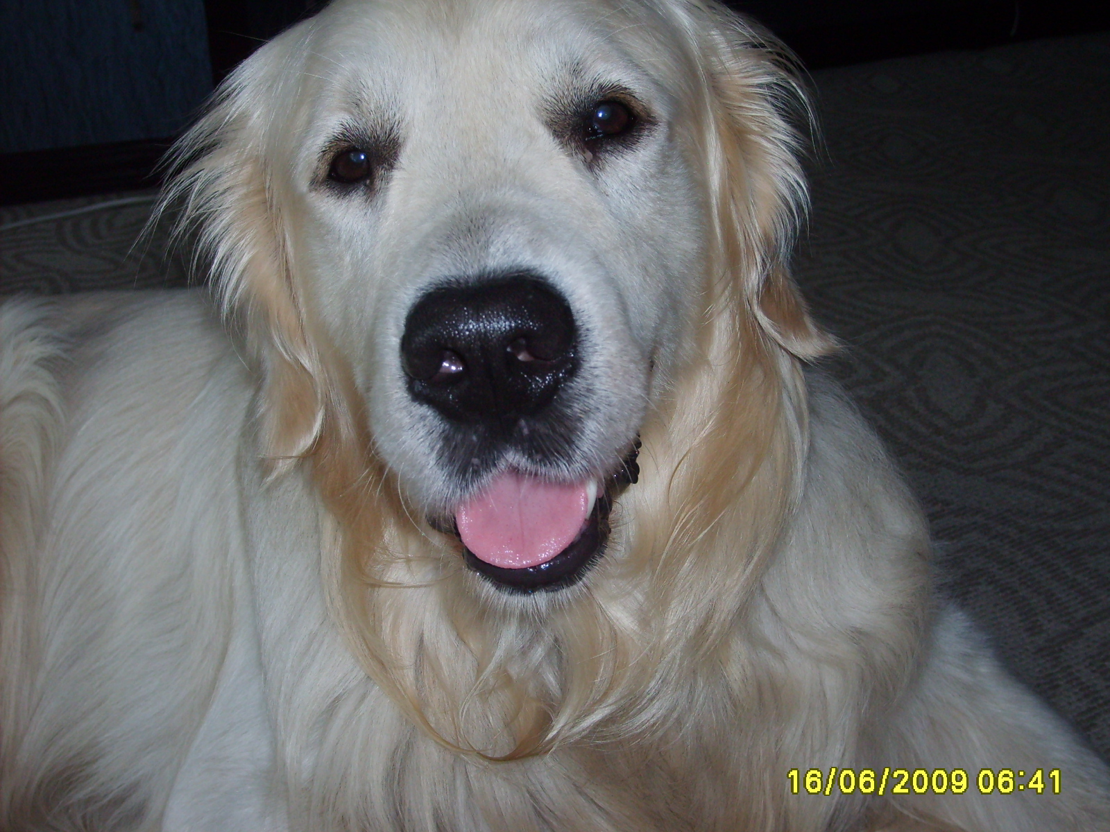 ARNI